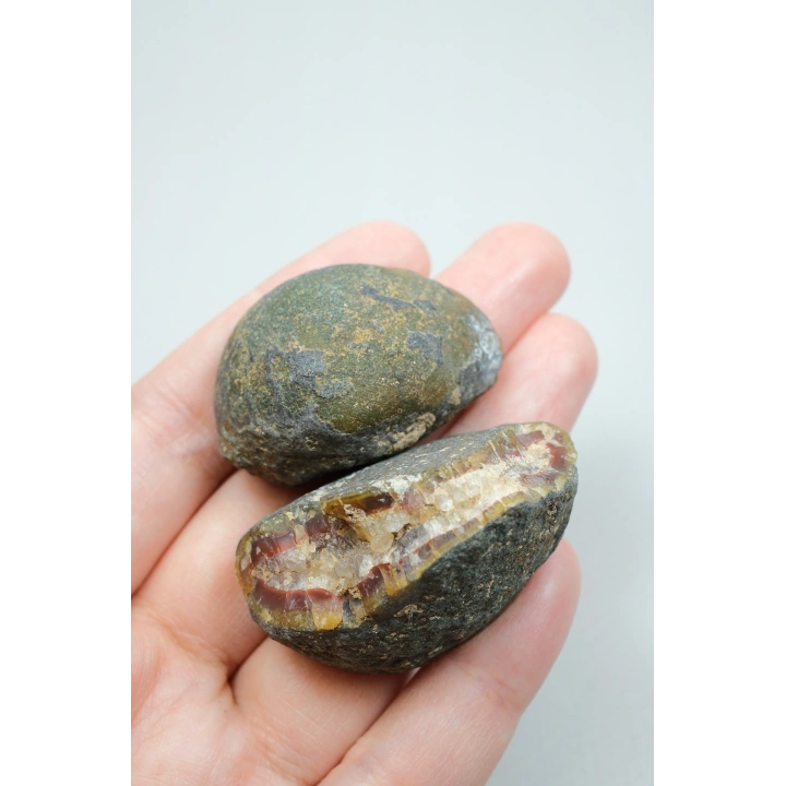 Tuğla Kırmızısı ve Zeytin Yeşili Bantlı Siyah Deniz Agatı Çifti