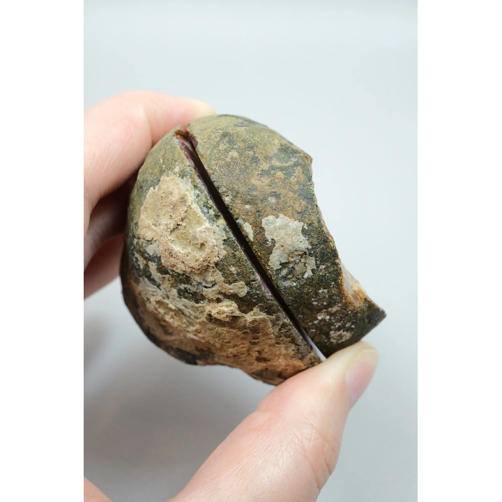 Brick Red Banded ve Mustard Sarı Nakışlı Siyah Deniz Agat Çifti ve Kuvars Jeot