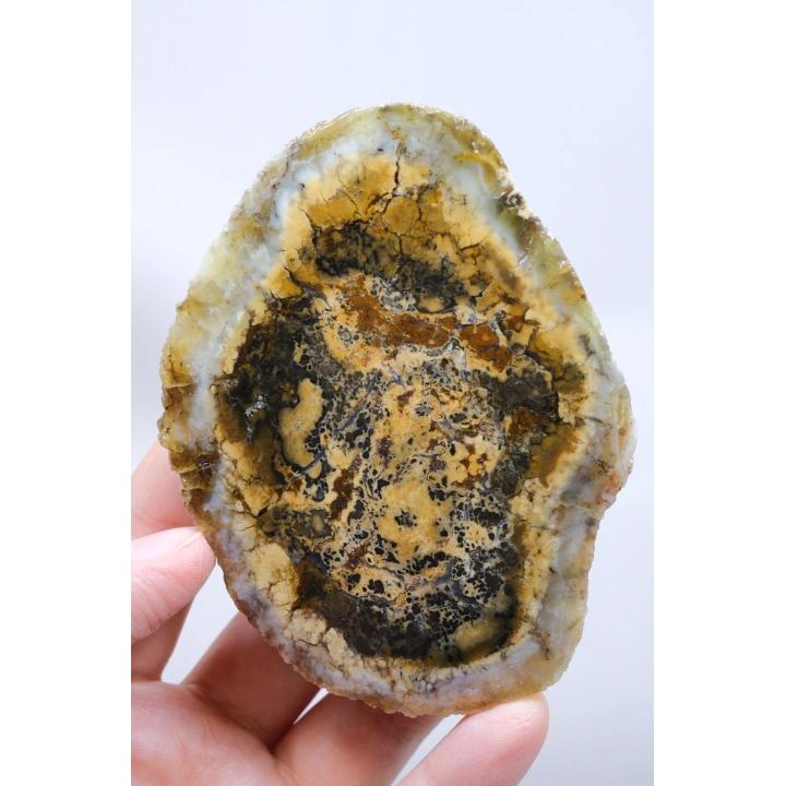 棕色树枝状蛋白石切片对——浓郁的蜂蜜赭色核心，伴有细腻的黑色树枝状纹理，重408克