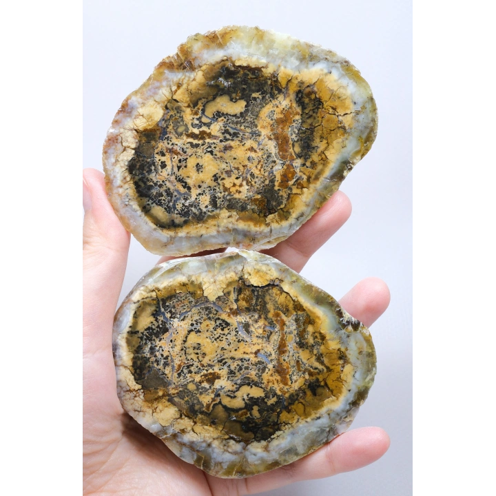 棕色树枝状蛋白石切片对——浓郁的蜂蜜赭色核心，伴有细腻的黑色树枝状纹理，重408克