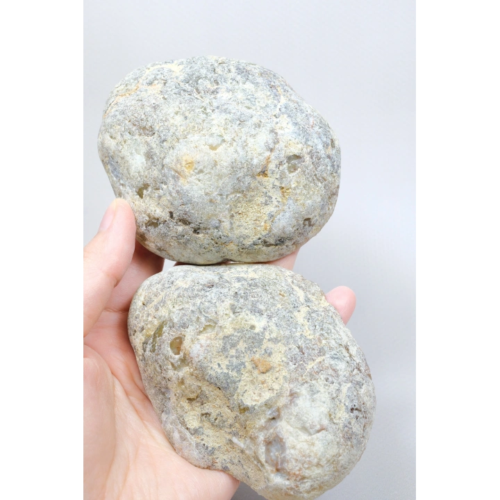 棕色树枝状蛋白石切片对——浓郁的蜂蜜赭色核心，伴有细腻的黑色树枝状纹理，重408克