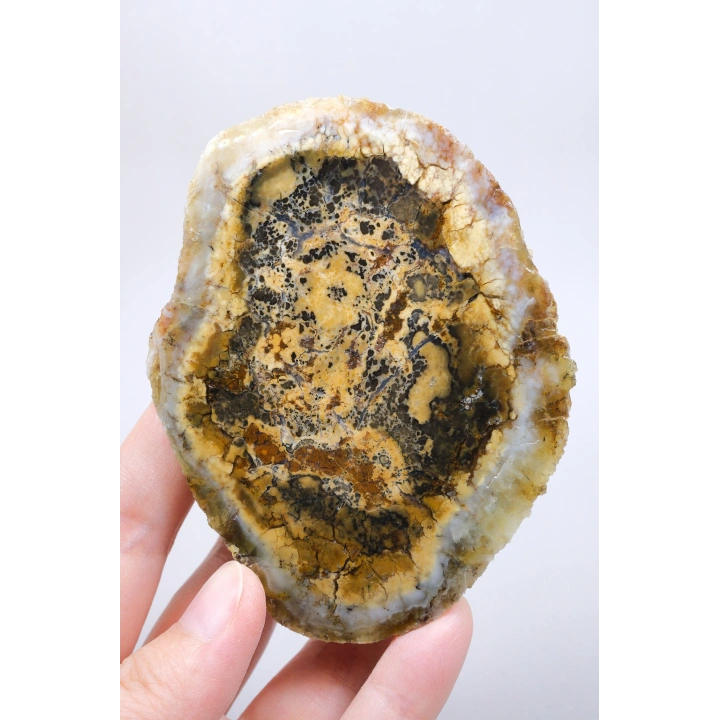棕色树枝状蛋白石切片对——浓郁的蜂蜜赭色核心，伴有细腻的黑色树枝状纹理，重408克