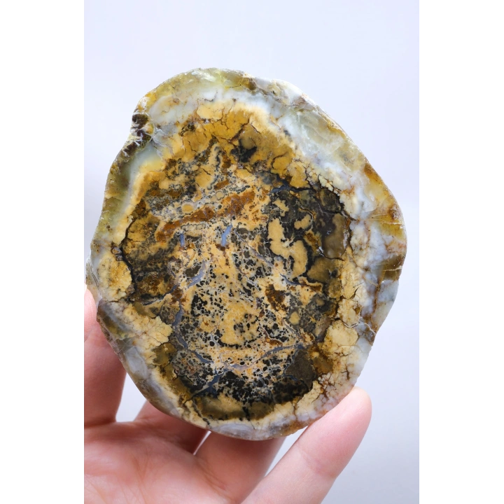 棕色树枝状蛋白石切片对——浓郁的蜂蜜赭色核心，伴有细腻的黑色树枝状纹理，重408克