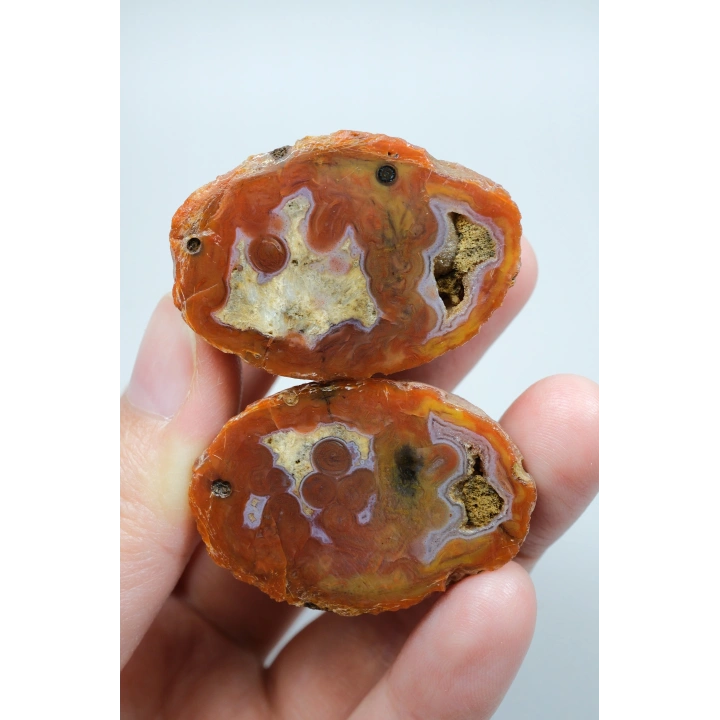 カーネリアンレッドとバーントオレンジの縞模様が入った黒海瑪瑙のペア、パープルアイ瑪瑙