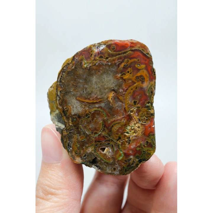 Carnelian Kırmızı ve Hardal Sarısı Bantlı Siyah Deniz Akik Çifti, 167g