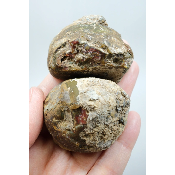 Carnelian Kırmızı ve Hardal Sarısı Bantlı Siyah Deniz Akik Çifti, 167g