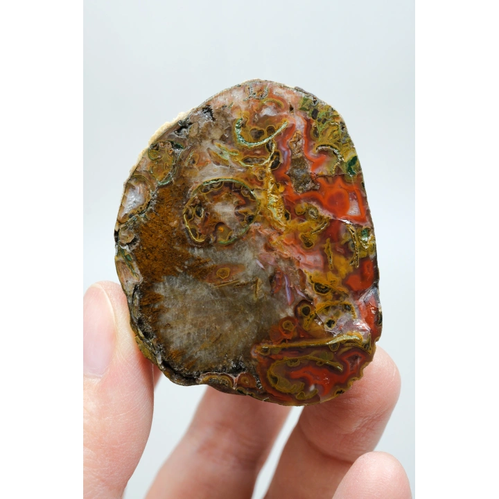 Carnelian Kırmızı ve Hardal Sarısı Bantlı Siyah Deniz Akik Çifti, 167g
