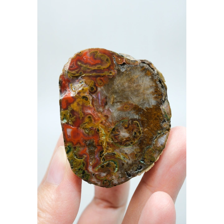 Carnelian Kırmızı ve Hardal Sarısı Bantlı Siyah Deniz Akik Çifti, 167g