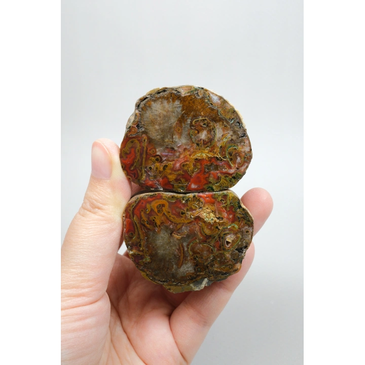 Carnelian Kırmızı ve Hardal Sarısı Bantlı Siyah Deniz Akik Çifti, 167g
