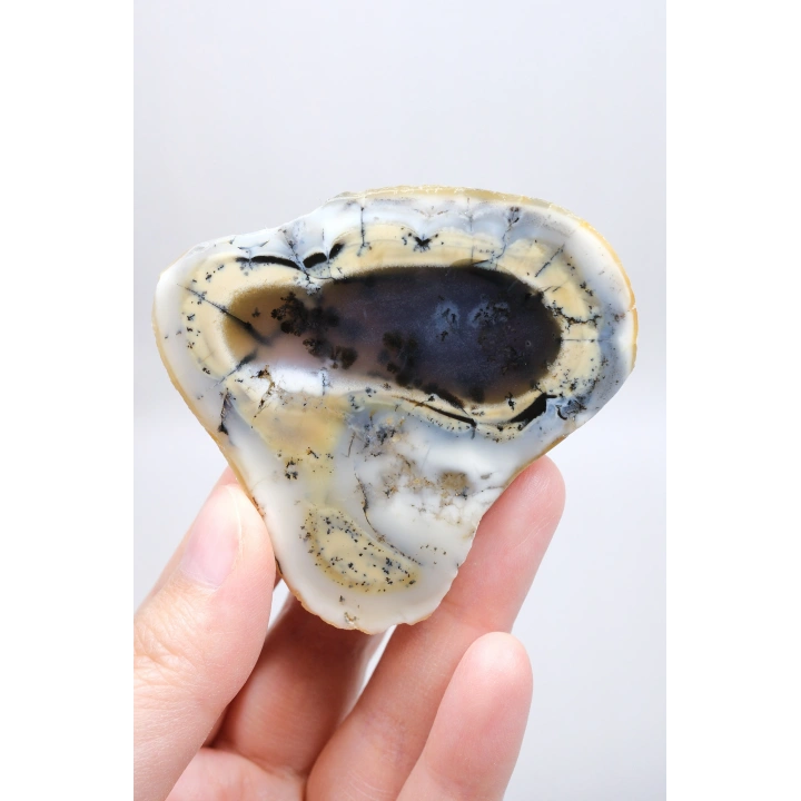 Colorful Merlinite Dendritic Opal Tekli | Kar Beyazı, Hardal Sarısı ve Derin Kömür