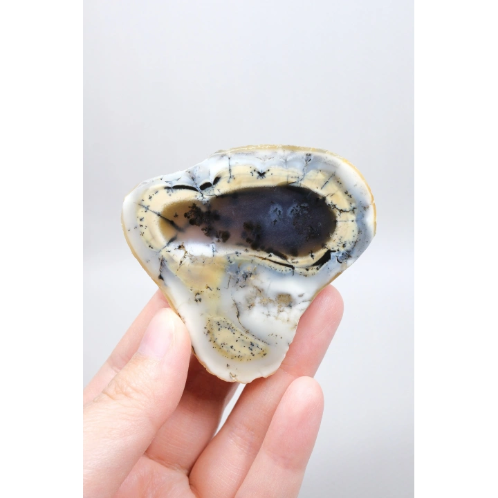 Colorful Merlinite Dendritic Opal Tekli | Kar Beyazı, Hardal Sarısı ve Derin Kömür