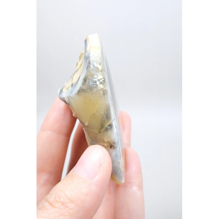 Colorful Merlinite Dendritic Opal Tekli | Kar Beyazı, Hardal Sarısı ve Derin Kömür
