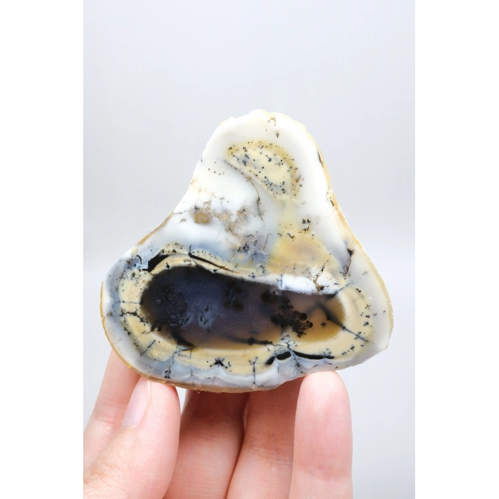 Colorful Merlinite Dendritic Opal Tekli | Kar Beyazı, Hardal Sarısı ve Derin Kömür