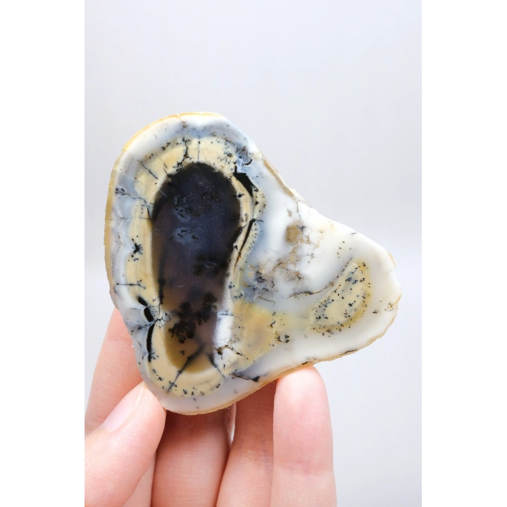 Colorful Merlinite Dendritic Opal Tekli | Kar Beyazı, Hardal Sarısı ve Derin Kömür