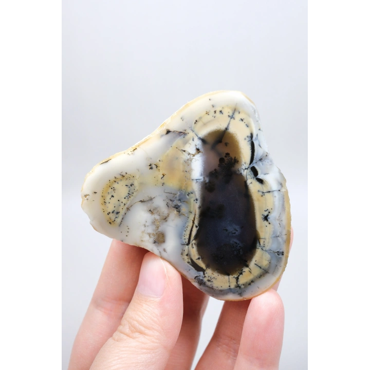 Colorful Merlinite Dendritic Opal Tekli | Kar Beyazı, Hardal Sarısı ve Derin Kömür