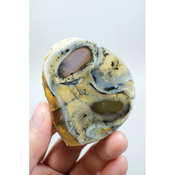 Renkli Mükemmel İşlenmiş Opal Dilimi - Merlinit, Sarı, Mavi