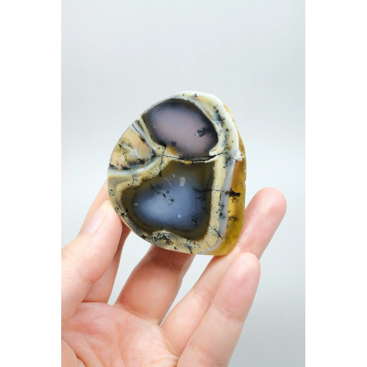 Renkli Mükemmel İşlenmiş Opal Dilimi - Merlinit, Sarı, Mavi