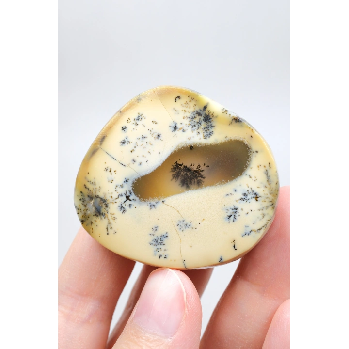 Krem & Amber Dendritic Opal - Merlinite Dilim Merkezdeki Kalsedon ile, 40g