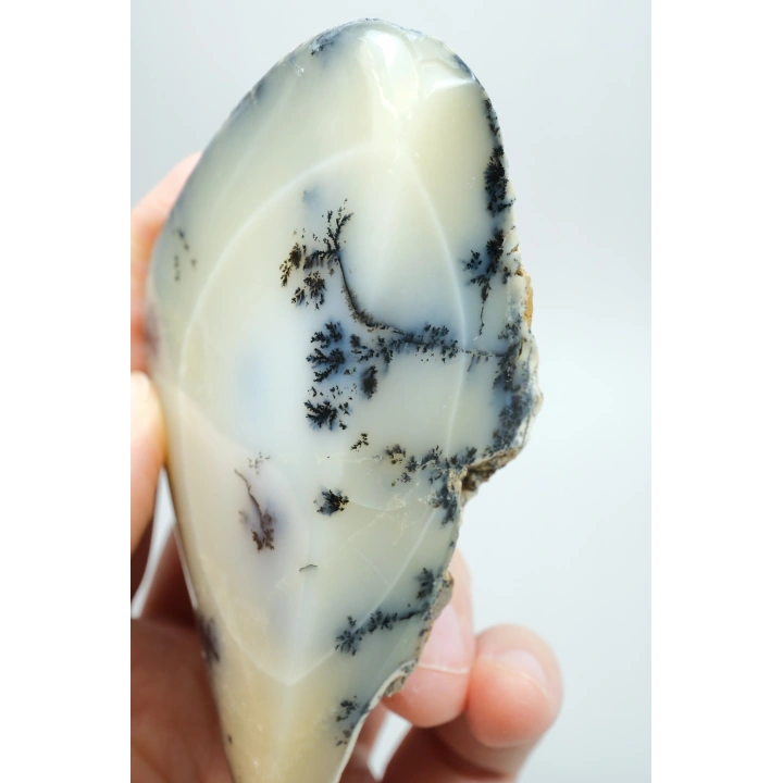 Krem ve İvory Merlinit Cilalı Yarım - Kremsi Beyaz Dendritli Opal ile Siyah Yosun
