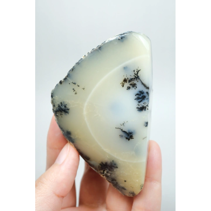 Krem ve İvory Merlinit Cilalı Yarım - Kremsi Beyaz Dendritli Opal ile Siyah Yosun