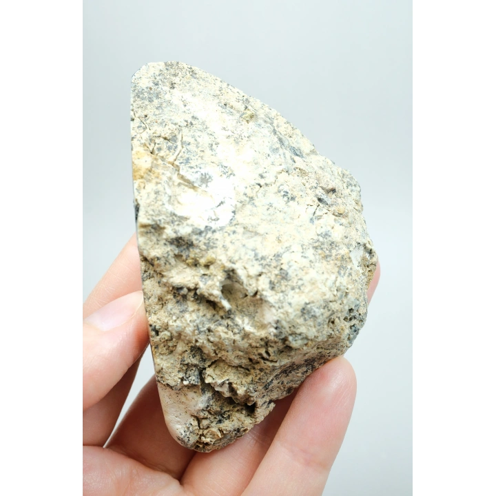 Krem ve İvory Merlinit Cilalı Yarım - Kremsi Beyaz Dendritli Opal ile Siyah Yosun