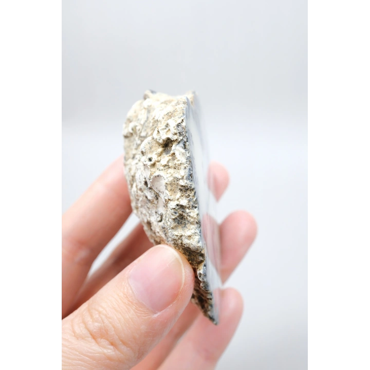 Krem ve Beyaz Renkli Merlinit - Krem Dendritik Opal ile Jet-Siyah Ağaç İçerikler