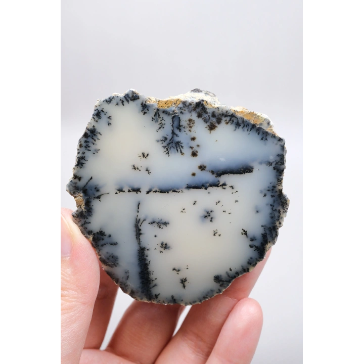 Krem ve Beyaz Renkli Merlinit - Krem Dendritik Opal ile Jet-Siyah Ağaç İçerikler