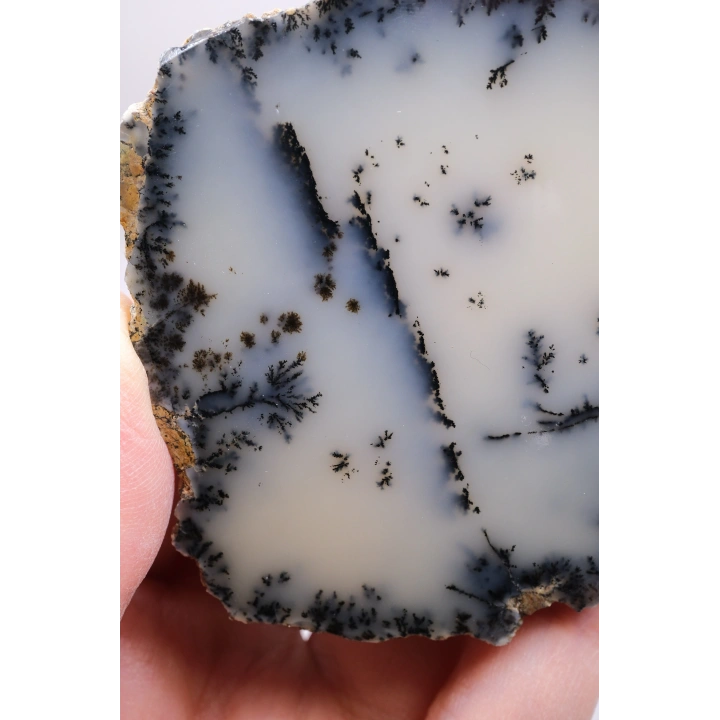 Krem ve Beyaz Renkli Merlinit - Krem Dendritik Opal ile Jet-Siyah Ağaç İçerikler