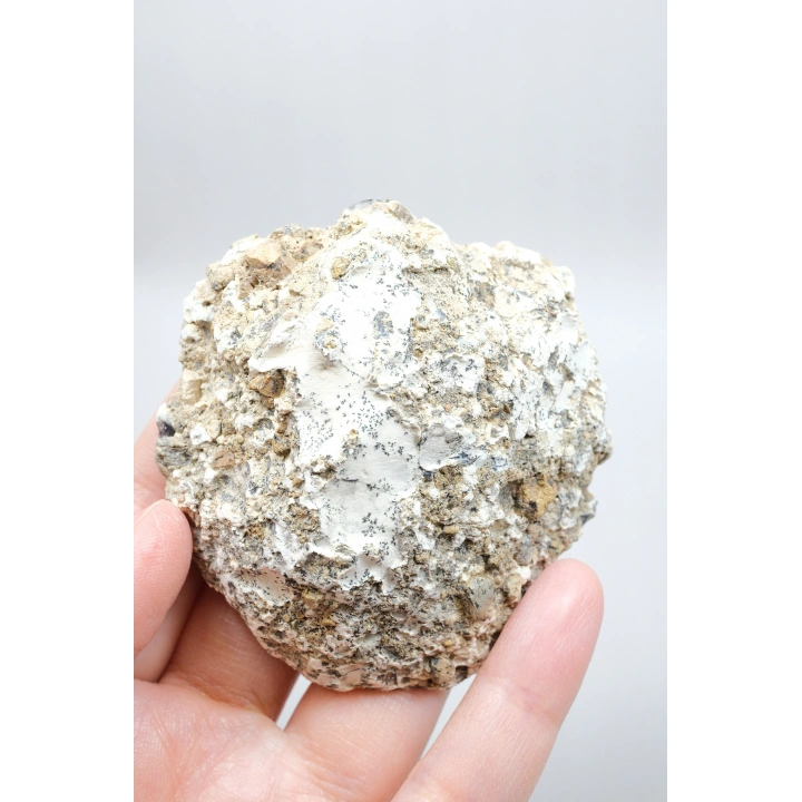 Krem ve Beyaz Renkli Merlinit - Krem Dendritik Opal ile Jet-Siyah Ağaç İçerikler
