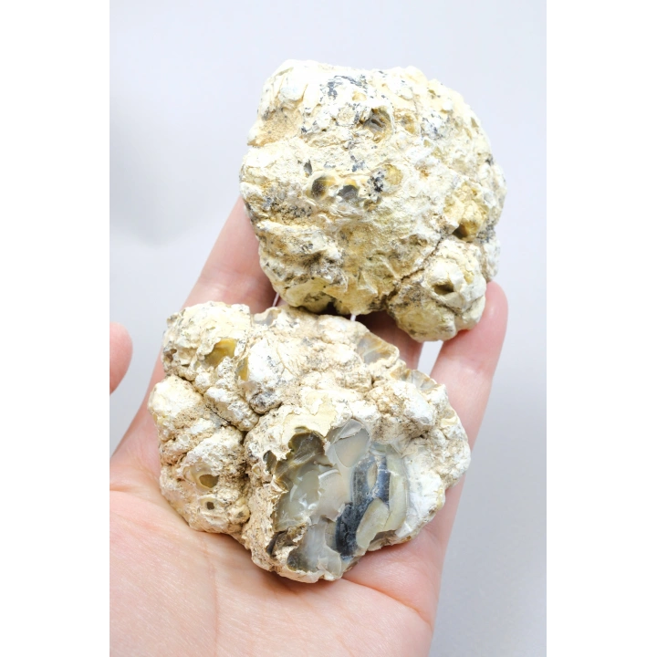 Krem Gri & Bej Merlinit - Siyah İçermesiyle Damarlı Opal Çift, 159g