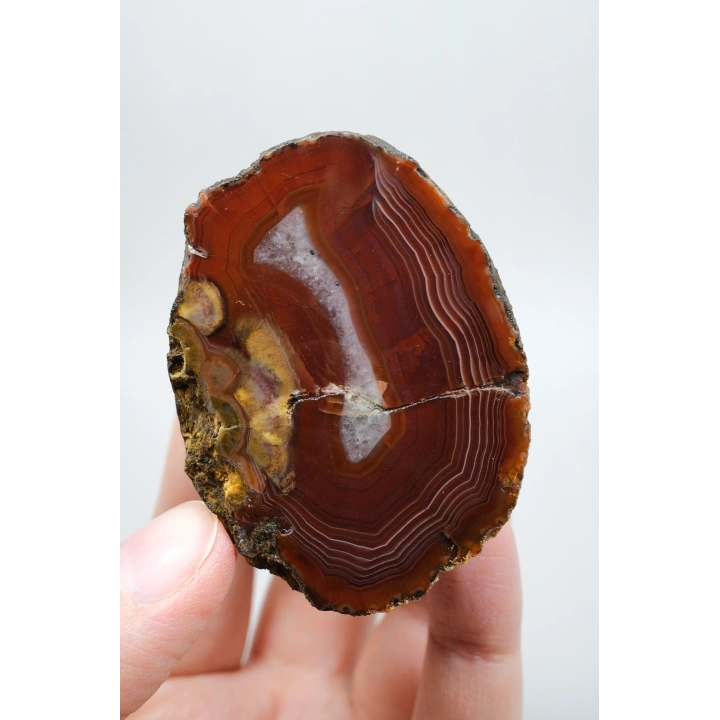 Krimson Kırmızı Bantlı Karadeniz Agat, 194g