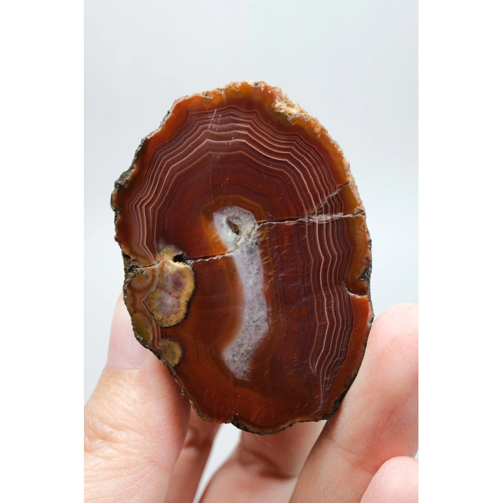 Krimson Kırmızı Bantlı Karadeniz Agat, 194g