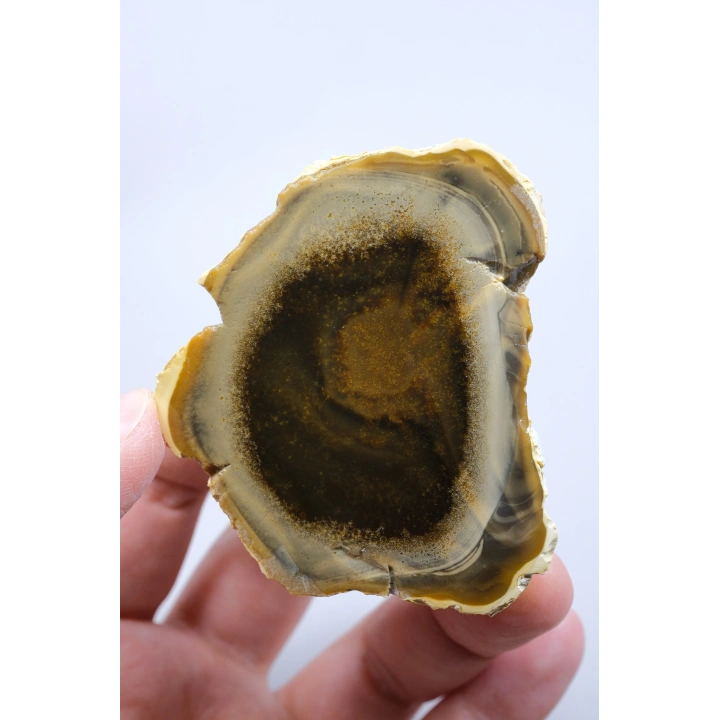 Koyu Bal Rengi ve Kehribar Tonlu Merlinit – Konsantrik Renk Bantlarına Sahip Dendritik Opal Çifti, 112 g