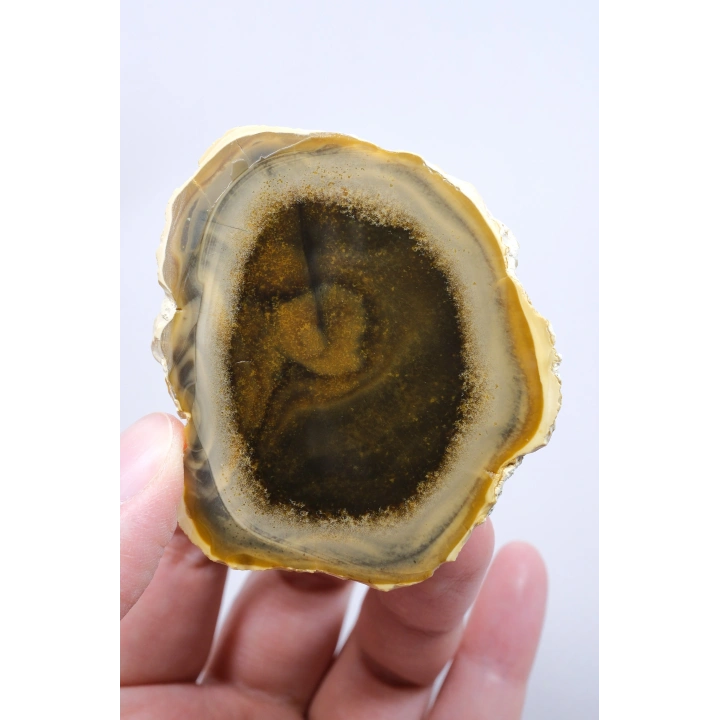Koyu Bal Rengi ve Kehribar Tonlu Merlinit – Konsantrik Renk Bantlarına Sahip Dendritik Opal Çifti, 112 g