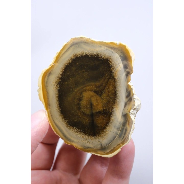 Koyu Bal Rengi ve Kehribar Tonlu Merlinit – Konsantrik Renk Bantlarına Sahip Dendritik Opal Çifti, 112 g
