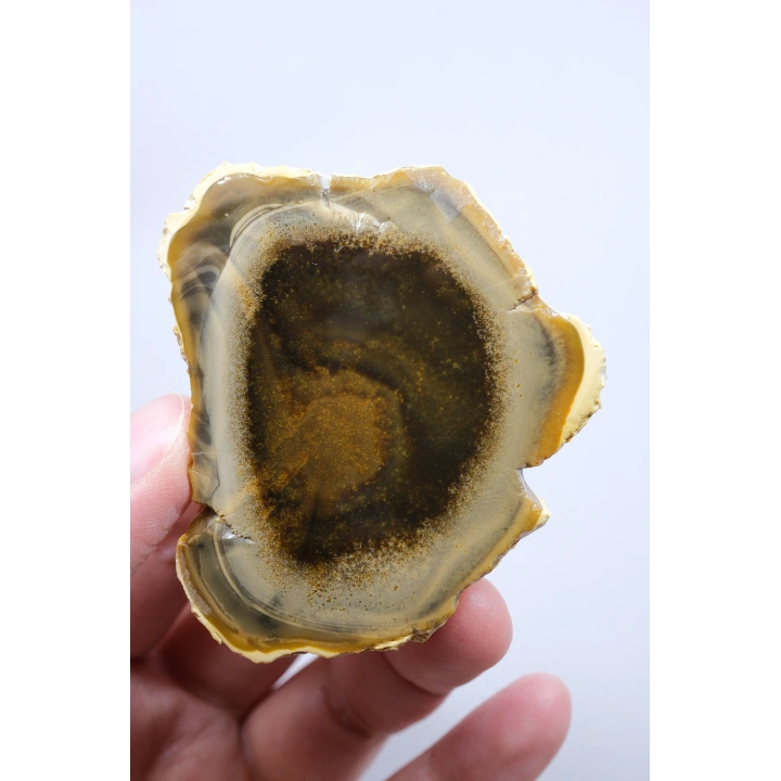 Koyu Bal Rengi ve Kehribar Tonlu Merlinit – Konsantrik Renk Bantlarına Sahip Dendritik Opal Çifti, 112 g