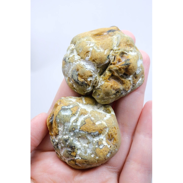 Koyu Sarı Dendritik Opal - Süt ve Bal Opal Cilalı Çift, 68g