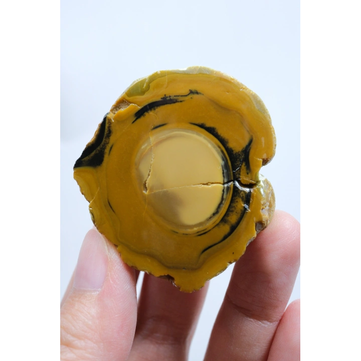 Koyu Sarı Dendritik Opal - Süt ve Bal Opal Cilalı Çift, 68g