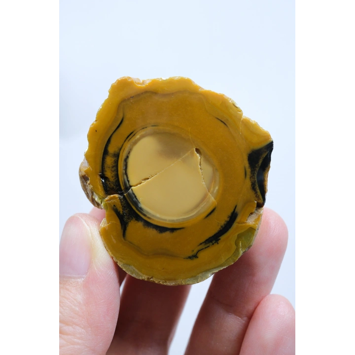 Koyu Sarı Dendritik Opal - Süt ve Bal Opal Cilalı Çift, 68g
