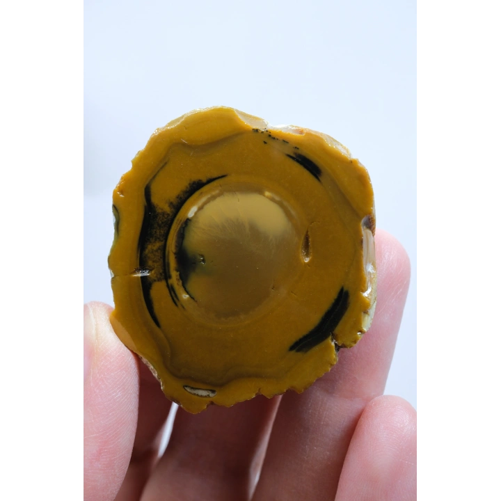 Koyu Sarı Dendritik Opal - Süt ve Bal Opal Cilalı Çift, 68g
