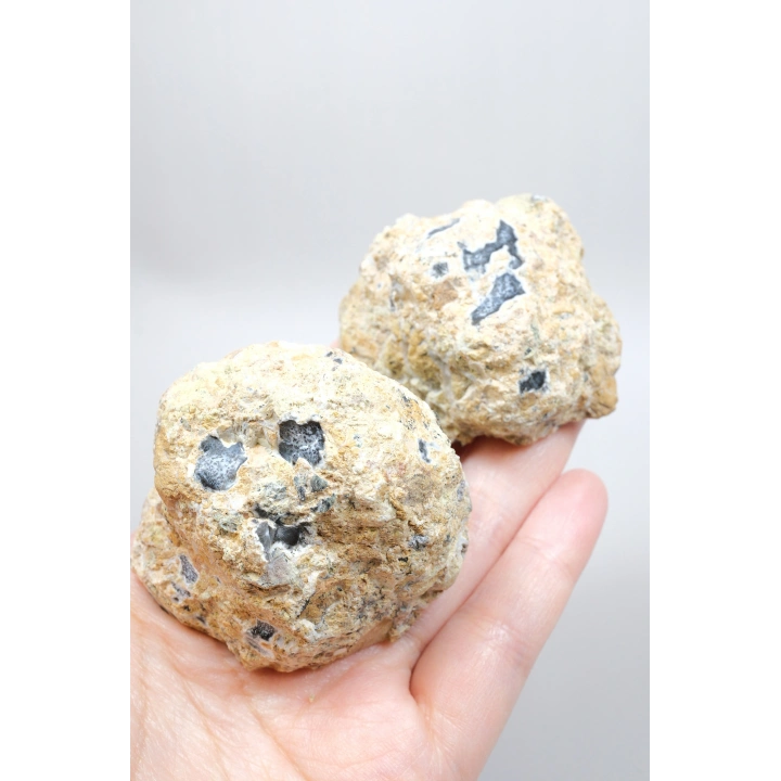 Dendritik Simya: Merlinit (Dendritik Opal) - Cilalı Çift