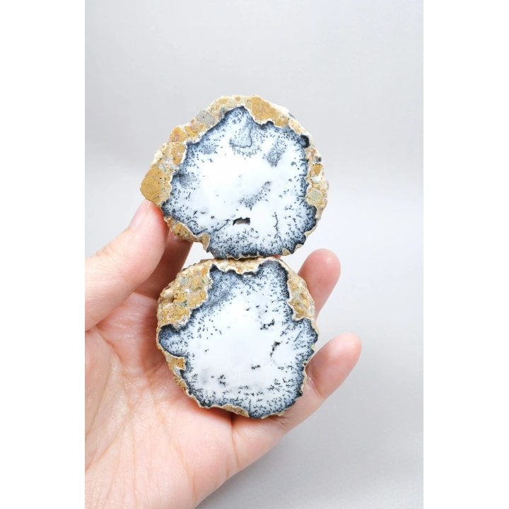 Dendritik Simya: Merlinit (Dendritik Opal) - Cilalı Çift