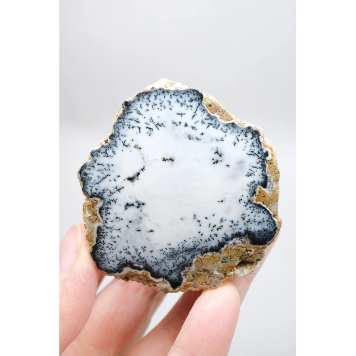 Dendritik Simya: Merlinit (Dendritik Opal) - Cilalı Çift