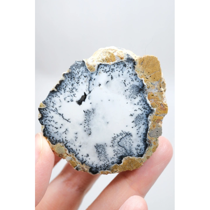 Dendritik Simya: Merlinit (Dendritik Opal) - Cilalı Çift