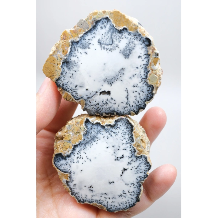 Dendritik Simya: Merlinit (Dendritik Opal) - Cilalı Çift