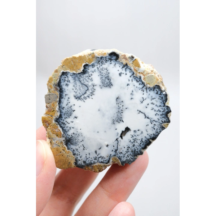 Dendritik Simya: Merlinit (Dendritik Opal) - Cilalı Çift