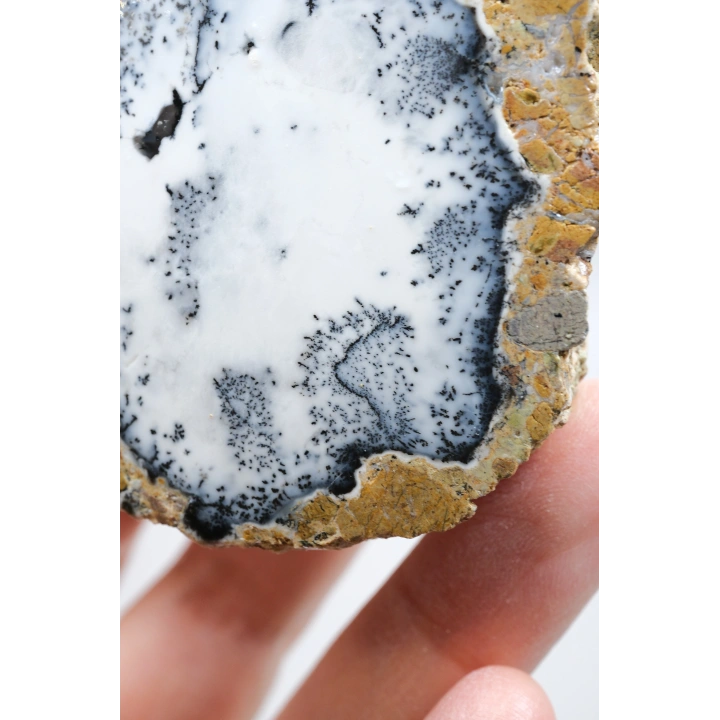 Dendritik Simya: Merlinit (Dendritik Opal) - Cilalı Çift