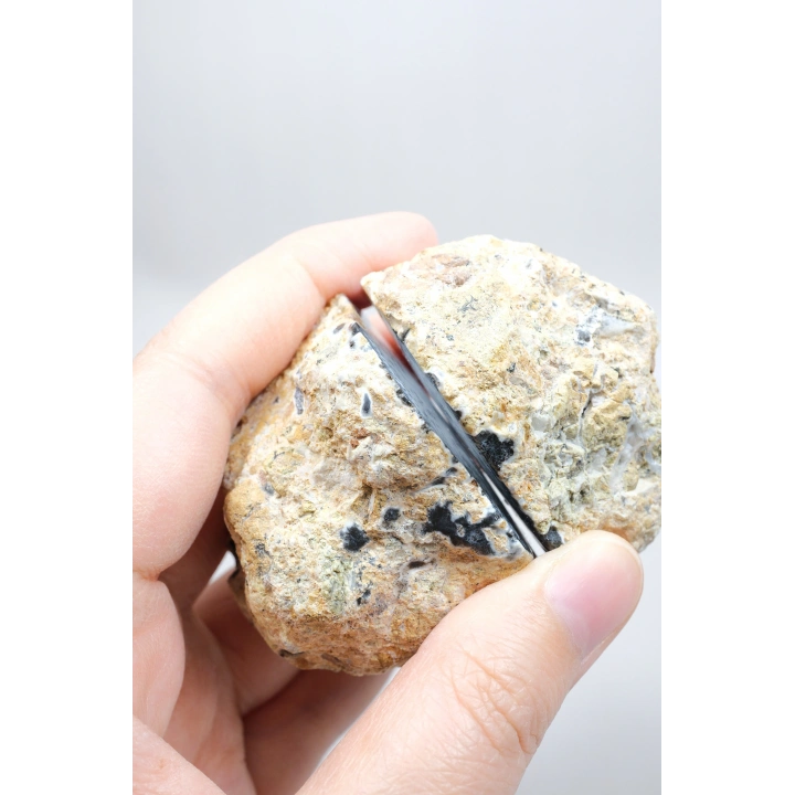Dendritik Simya: Merlinit (Dendritik Opal) - Cilalı Çift