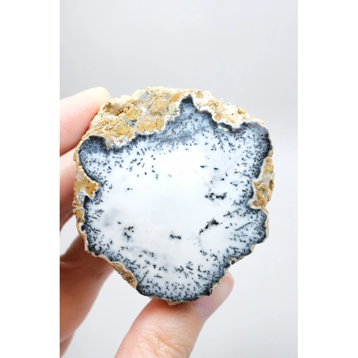 Dendritik Simya: Merlinit (Dendritik Opal) - Cilalı Çift