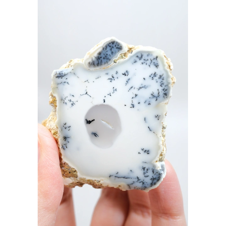 Dendritik Rüyalar: Bölünmüş Opal - Merlinit, 185g